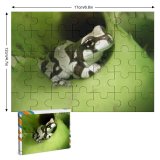 yanfind Picture Puzzle Amazonian Milk Frog Qute Amphibian Stripes Zebra Phrynohyas Resinifictrix Smile Tree Leaf Family Game Intellectual Educational Game Jigsaw Puzzle Toy Set
