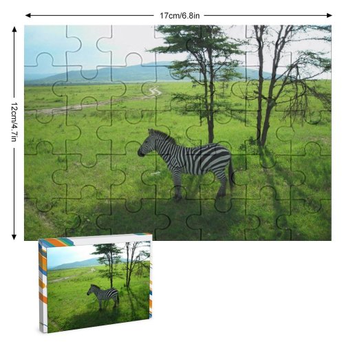 yanfind Picture Puzzle Zebra Wild Forest Masai Mara Kenya Africa Safari Grassland Wildlife Pasture Vegetation Family Game Intellectual Educational Game Jigsaw Puzzle Toy Set