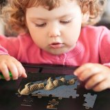 yanfind Picture Puzzle Zebra Thirsty Addo Wildlife Vertebrate Terrestrial Bengal  Reflection Organism Mane Bank Family Game Intellectual Educational Game Jigsaw Puzzle Toy Set