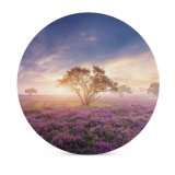 yanfind Ceramic Coasters (round) Gerard Spring Sunrise Bloom Purple Flowers Heath Family Game Intellectual Educational Game Jigsaw Puzzle Toy Set