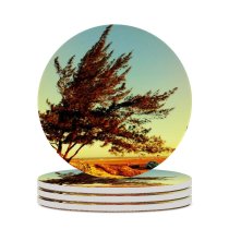 yanfind Ceramic Coasters (round) Atlântica Images Barra  Flora Landscape Sky Plant Car Da Tree Grussaí Family Game Intellectual Educational Game Jigsaw Puzzle Toy Set