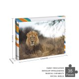 yanfind Picture Puzzle Images Lion Wildlife Africa Pictures PNG Kgalagadi Family Game Intellectual Educational Game Jigsaw Puzzle Toy Set