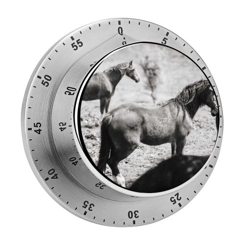 yanfind Timer Images Country Wallpapers Kissing Equestrian Free Natural Horse Winning Pictures Equine Ranch 60 Minutes Mechanical Visual Timer
