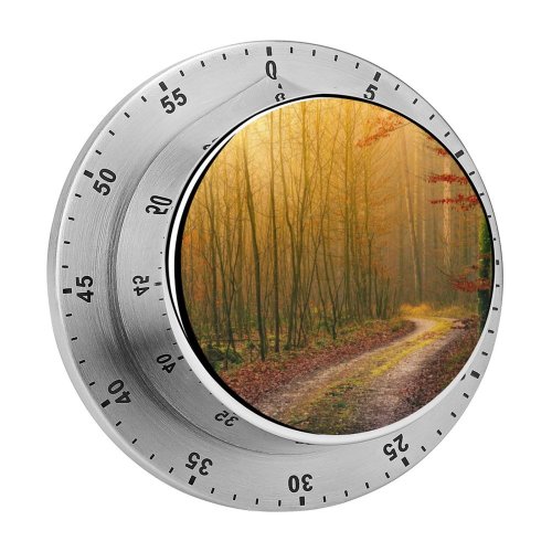 yanfind Timer Johannes Plenio Forest Autumn Road Light Atmosphere Fall Daytime 60 Minutes Mechanical Visual Timer
