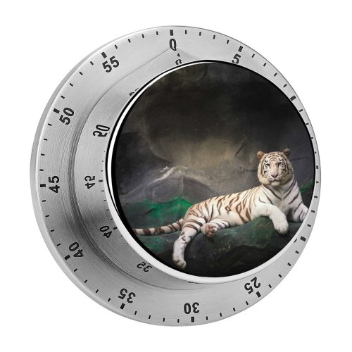 yanfind Timer Anek Suwannaphoom Bengal  Cave  Wild Dark 60 Minutes Mechanical Visual Timer