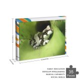 yanfind Picture Puzzle Amazonian Milk Frog Qute Amphibian Stripes Zebra Phrynohyas Resinifictrix Smile Tree Leaf Family Game Intellectual Educational Game Jigsaw Puzzle Toy Set