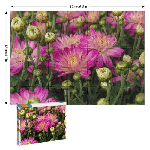 yanfind Picture Puzzle Anemone Images Arrangement Chrysanthemums Flowers Dahlia Plant Bouquet  Flower PNG Petal Family Game Intellectual Educational Game Jigsaw Puzzle Toy Set