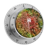 yanfind Timer Trey Ratcliff Great Wall China Beijing Aerial Beautiful Colorful Trees 60 Minutes Mechanical Visual Timer
