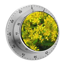 yanfind Timer Planter Images Photo Bush Pottery Potted Flowers Macro Jar Herbs Grass Vase 60 Minutes Mechanical Visual Timer