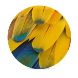 yanfind Ceramic Coasters (round) Zdeněk Macháček Abstract Macaw Feathers Multicolor Colorful Closeup Macro Drops Texture Scarlet Family Game Intellectual Educational Game Jigsaw Puzzle Toy Set