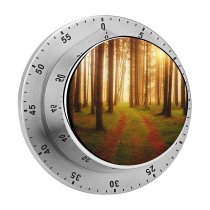 yanfind Timer Johannes Plenio Foreign Path Sunlight  Woods 60 Minutes Mechanical Visual Timer