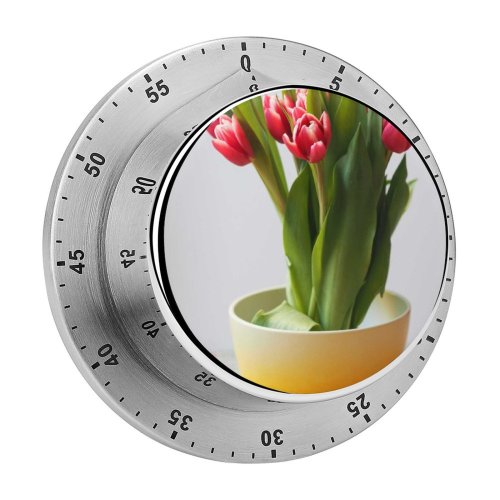 yanfind Timer Images Arrangement Bouquet Spring Flora Petal Potted Pot Wallpapers Vase Plant Tulip 60 Minutes Mechanical Visual Timer