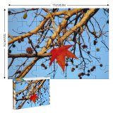 yanfind Picture Puzzle Leaf Tree Fall Maple Branch Twig Plant Woody Sky Spring Stem Flowering Family Game Intellectual Educational Game Jigsaw Puzzle Toy Set