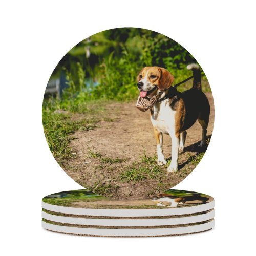 yanfind Ceramic Coasters (round) Ground Images Pet  Hound Grass Wallpapers Pedigreed Beagle Stock Free Aquatic Family Game Intellectual Educational Game Jigsaw Puzzle Toy Set