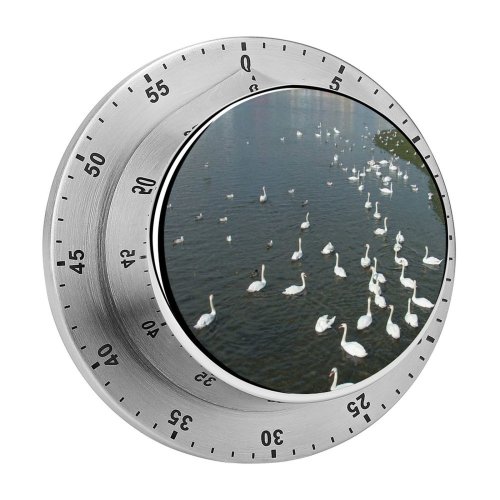 yanfind Timer Swans Galway Bird  Duck Waterway Ducks Geese Sky Goose Seabird 60 Minutes Mechanical Visual Timer
