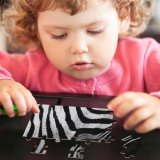 yanfind Picture Puzzle Zebra Wildlife Terrestrial  Snout Family Game Intellectual Educational Game Jigsaw Puzzle Toy Set
