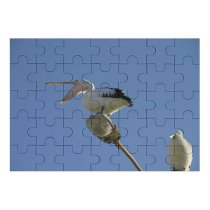 yanfind Picture Puzzle River Bird Sky Cloud Vertebrate Beak Shorebird Feather Wing Wildlife Egret Seabird Family Game Intellectual Educational Game Jigsaw Puzzle Toy Set