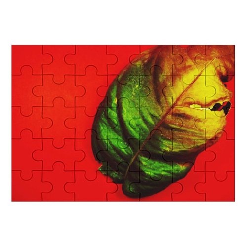 yanfind Picture Puzzle Leaf Autumn Dry Plant Tree Design Vegetable Still  Macro Vegetarian Family Game Intellectual Educational Game Jigsaw Puzzle Toy Set