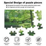 yanfind Picture Puzzle Summer  Warm Trees Botanic Garden Silence Natural Landscape Tree Forest Vegetation Family Game Intellectual Educational Game Jigsaw Puzzle Toy Set