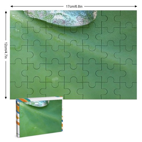 yanfind Picture Puzzle Leaf Stuff Tear Macro Closeup Texture  Drop Dew Moisture Organism Plant Family Game Intellectual Educational Game Jigsaw Puzzle Toy Set