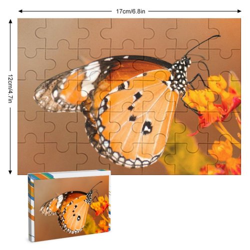 yanfind Picture Puzzle Images Taiwan Moth Insect Wing Public Antennae Wallpapers Plant Garden Borisworkshop Outdoors Family Game Intellectual Educational Game Jigsaw Puzzle Toy Set