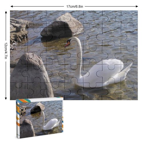 yanfind Picture Puzzle  Labut Zohor Slovakia Priehrada Lake Bird Ducks Geese Swans Waterfowl Beak Family Game Intellectual Educational Game Jigsaw Puzzle Toy Set