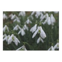 yanfind Picture Puzzle Images Spring Flowers Snow Snowdrop Wallpapers Plant Bulbs Amaryllidaceae Free Gardens Snowdrops Family Game Intellectual Educational Game Jigsaw Puzzle Toy Set
