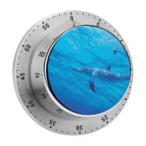 yanfind Timer Dolphins Underwater Under Sea Aqua 60 Minutes Mechanical Visual Timer