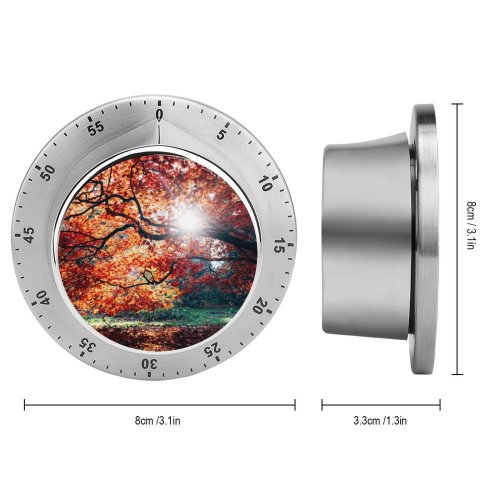 yanfind Timer Dan Freeman Autumn Fall Maple Tree Foliage Sunlight Westonbirt National Arboretum England 60 Minutes Mechanical Visual Timer