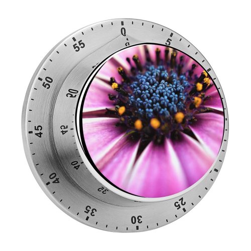 yanfind Timer Flowers Daisy Closeup Macro Flowers Spring  Bloom Petals Selective Focus Flora 60 Minutes Mechanical Visual Timer