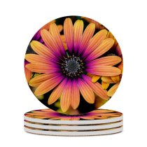 yanfind Ceramic Coasters (round) Paul Zoetemeijer Flowers Daisy Flowers Colorful Flowers Closeup Macro Flower Heads Family Game Intellectual Educational Game Jigsaw Puzzle Toy Set
