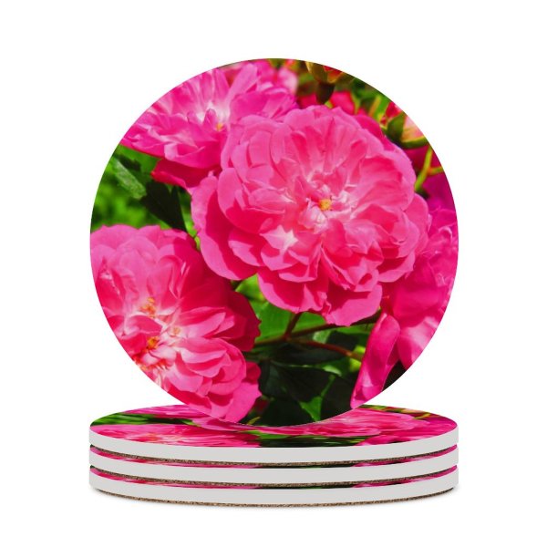 yanfind Ceramic Coasters (round) Geranium Images Carnation Rose Spring Petal Peony Flowers Dahlia Plant Free Summer Family Game Intellectual Educational Game Jigsaw Puzzle Toy Set