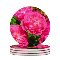 yanfind Ceramic Coasters (round) Geranium Images Carnation Rose Spring Petal Peony Flowers Dahlia Plant Free Summer Family Game Intellectual Educational Game Jigsaw Puzzle Toy Set