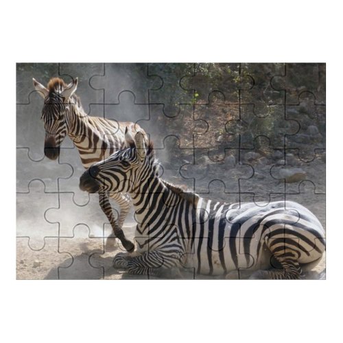 yanfind Picture Puzzle Zebra Vertebrate Terrestrial Wildlife Wilderness Snout National Park Organism Adaptation Family Game Intellectual Educational Game Jigsaw Puzzle Toy Set
