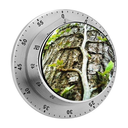 yanfind Timer Tree Grey Path Confusion Leaves Beauty Shellbark Hickory Trunk Vegetation Plant Natural 60 Minutes Mechanical Visual Timer