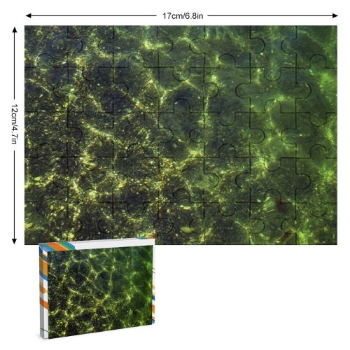 yanfind Picture Puzzle Ripples  Dapple Pacific Ocean River Lake Vegetation Leaf Plant Tree Family Game Intellectual Educational Game Jigsaw Puzzle Toy Set