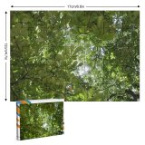 yanfind Picture Puzzle Summer Parc Jardin  France Tree Leaves Plant Leaf Woody Branch Sunlight Family Game Intellectual Educational Game Jigsaw Puzzle Toy Set