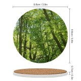 yanfind Ceramic Coasters (round) Spring Tree Leaf Forest Temperate Broadleaf Natural Northern Hardwood Vegetation Old Growth Family Game Intellectual Educational Game Jigsaw Puzzle Toy Set