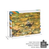 yanfind Picture Puzzle River Transparency Rocks Warm Shallow Rock Mineral Organism Geology Watercourse Family Game Intellectual Educational Game Jigsaw Puzzle Toy Set