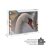 yanfind Picture Puzzle  Lochs Bird Vertebrate Beak Ducks Geese Swans Waterfowl Neck Family Game Intellectual Educational Game Jigsaw Puzzle Toy Set
