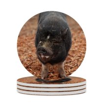 yanfind Ceramic Coasters (round) Sanctuary Images Hog Wallpapers Grey Pictures Happy Pig Boar Farm Stock Free Family Game Intellectual Educational Game Jigsaw Puzzle Toy Set