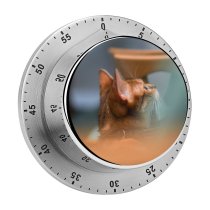 yanfind Timer Lovely Images Wuhan Wallpapers Grey China Abyssinian Pictures Pet Kitten Free Cat 60 Minutes Mechanical Visual Timer
