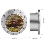 yanfind Timer Relaxing Images  Go Frog Toad Grumpy Public Lizard Wildlife Reptile Away 60 Minutes Mechanical Visual Timer