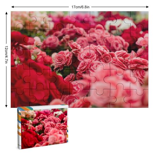 yanfind Picture Puzzle Gustavo Tabosa Flowers Flowers  Flower Garden Colorful Tuberous Begonia Spring Family Game Intellectual Educational Game Jigsaw Puzzle Toy Set