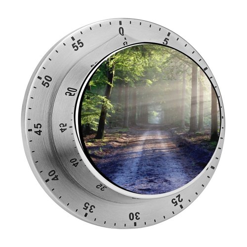 yanfind Timer Forest Path Trees Outdoor Woods Sunlight 60 Minutes Mechanical Visual Timer