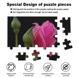 yanfind Picture Puzzle Rose Bud Leaf Flower  Flowering Plant Petal Pedicel Stem Flowers Family Game Intellectual Educational Game Jigsaw Puzzle Toy Set