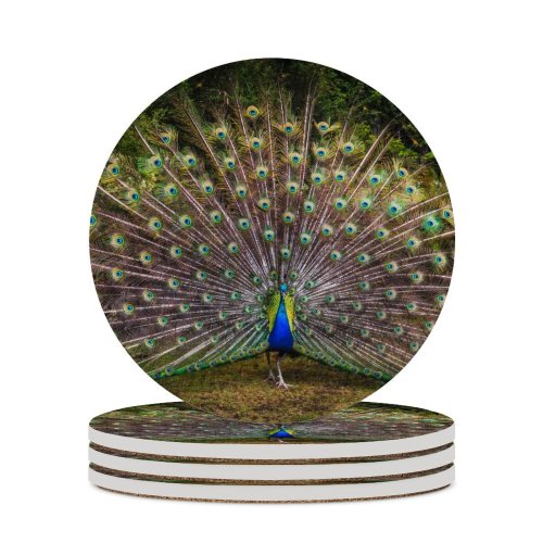 yanfind Ceramic Coasters (round) Paul Carmona  Grass Beautiful Feathers Bird Trees Colorful Family Game Intellectual Educational Game Jigsaw Puzzle Toy Set