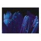 yanfind Picture Puzzle Petals Macro Vivid Dew Drops Dark Droplets Family Game Intellectual Educational Game Jigsaw Puzzle Toy Set