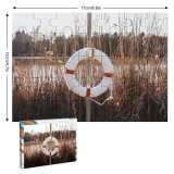 yanfind Picture Puzzle Structure Land Tranquil Grass Slovenia Tranquility Hanging Belt Post Scene Plant Outdoors Family Game Intellectual Educational Game Jigsaw Puzzle Toy Set