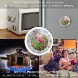 yanfind Timer Plants Petals Images Wallpapers Roses Rose Summer Tiny Flower Pictures Free Flowers 60 Minutes Mechanical Visual Timer
